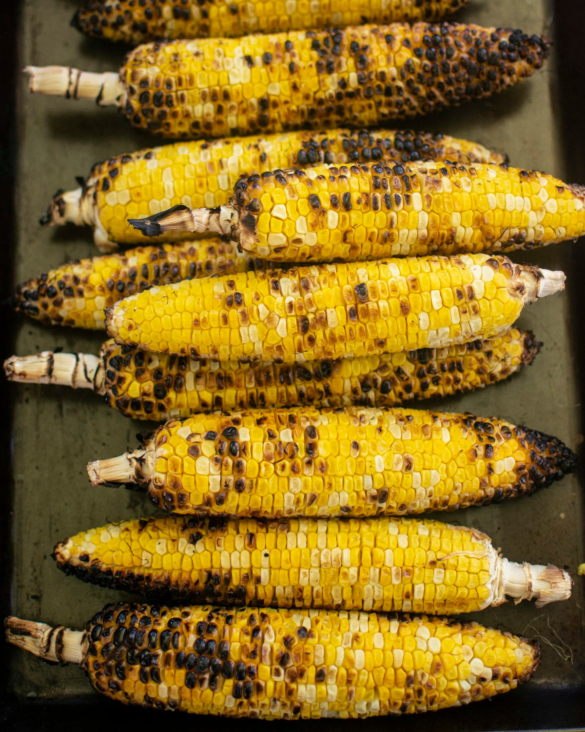 Grilled corn on the cob with char